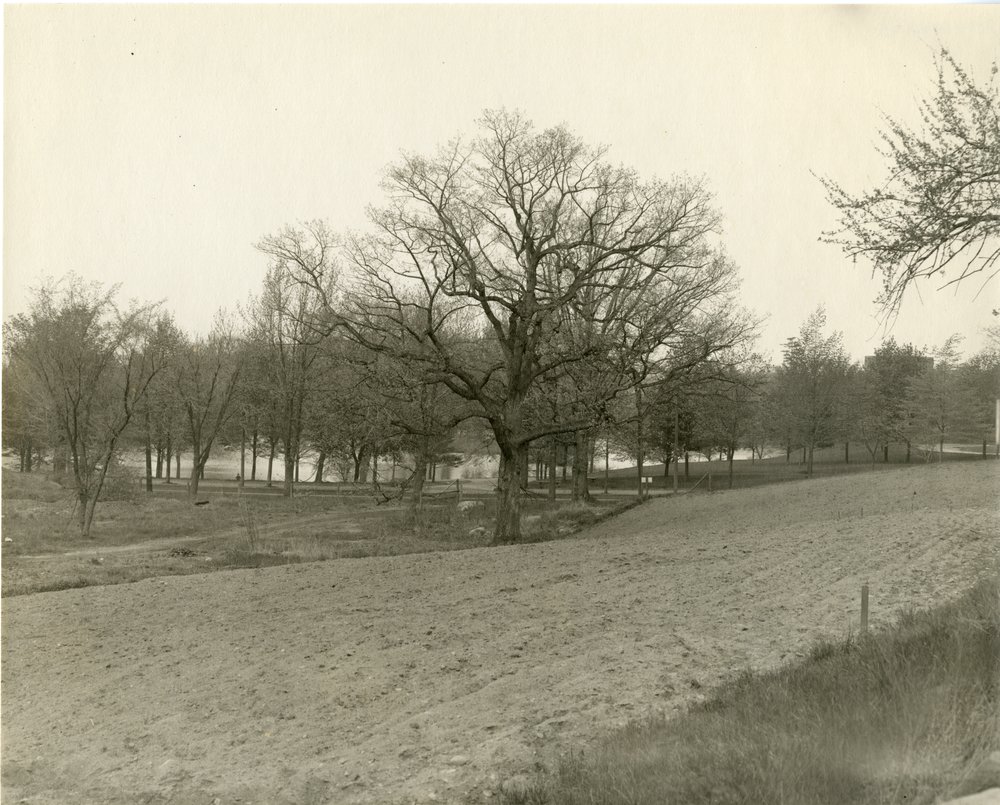 Higgins House build site, 1919